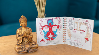 Cartographie réflexologie faciale - Points réflexes visage